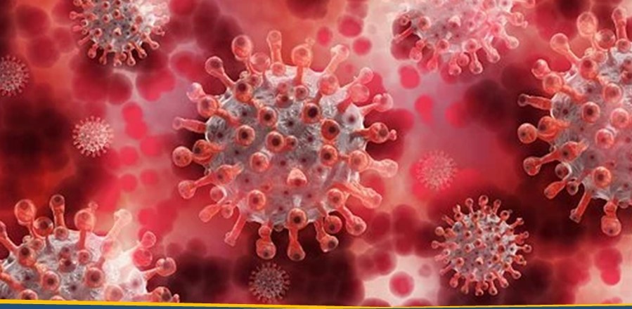 LIPI Berhasil Peroleh Sekuens Genom Utuh Virus SARS-CoV-2